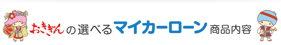 おきぎんの選べるマイカーローン商品内容
