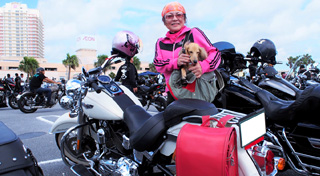 USSエンタープライズさんの愛車ハーレーダビッドソン ＣＶＯ　ＦＬＳＴＮＳＥ　ソフテイルデラックス