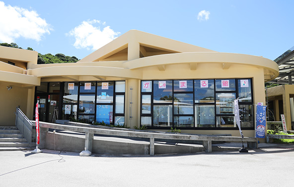 道の駅おおぎみ やんばるの森ビジターセンター
