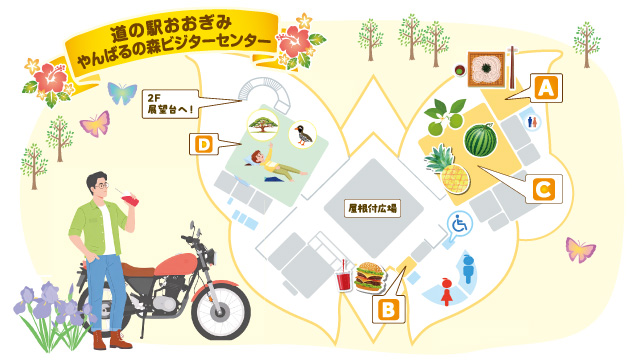 道の駅おおぎみ やんばるの森ビジターセンターの施設内マップ