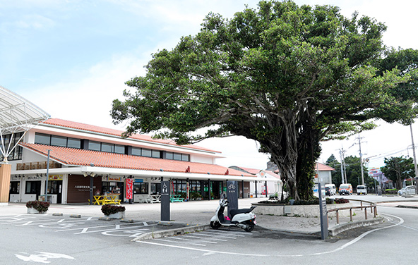 南の駅やえせ:南部